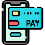 Secure Visa Payment