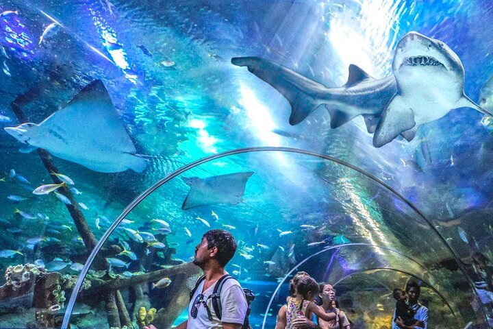 Aquaria KLCC is a state-of-the-art aquarium situated in the heart of Kuala Lumpur