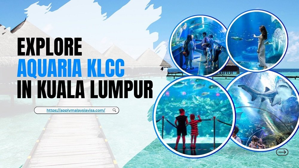 Explore Aquaria KLCC in Kuala Lumpur – Your Complete Guide