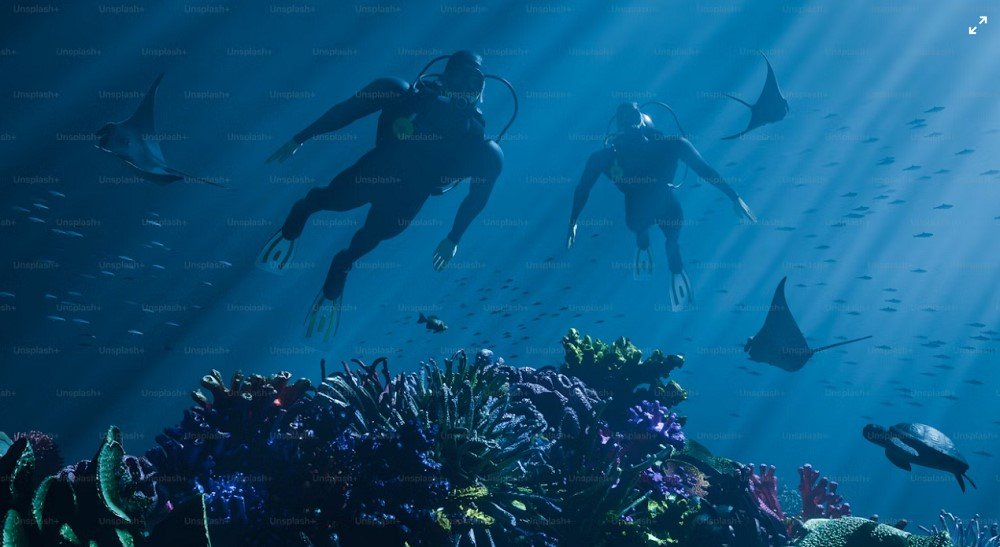 Image of Aquaria KLCC 01