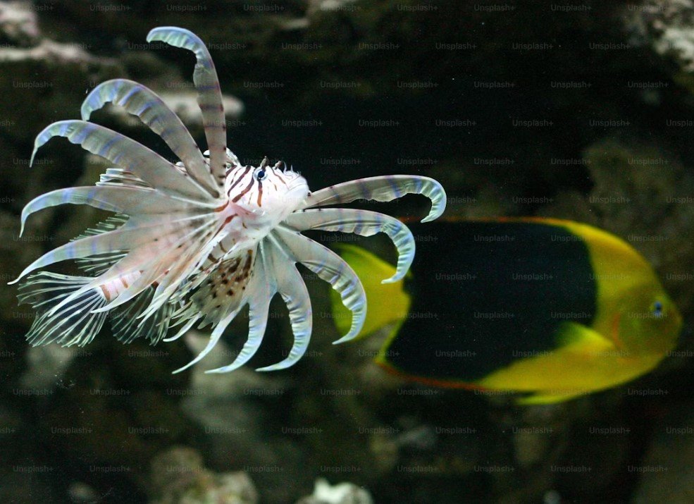 Image of Aquaria KLCC 05