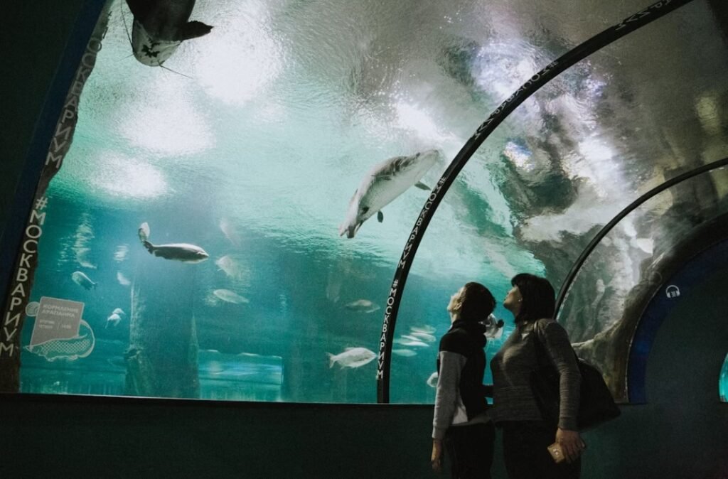 Image of Aquaria KLCC 08