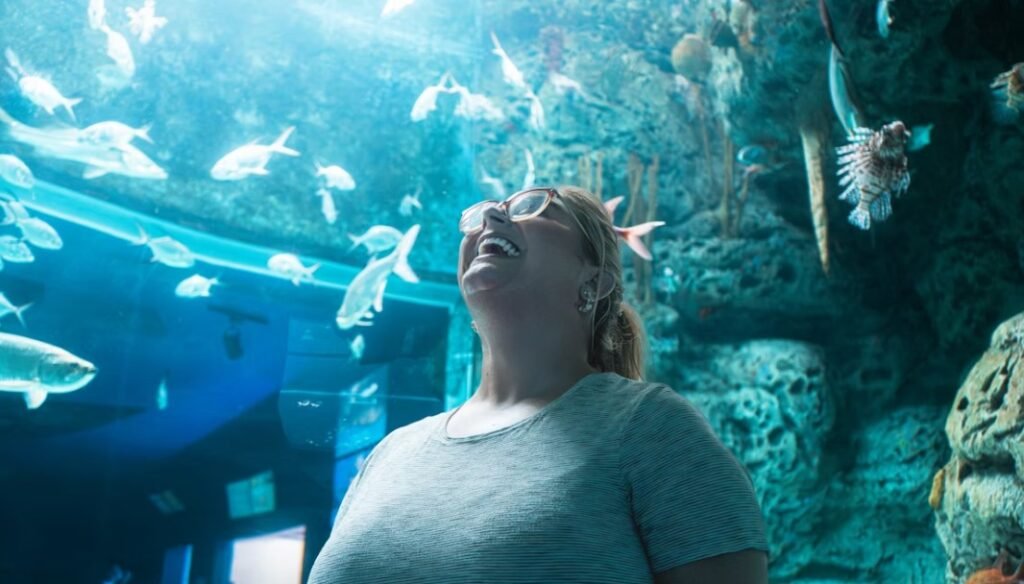 Image of Aquaria KLCC 09