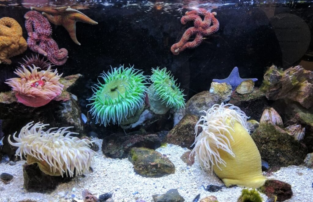 Image of Aquaria KLCC 15