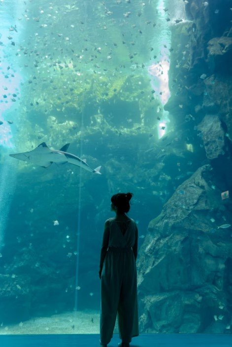 Image of Aquaria KLCC 17