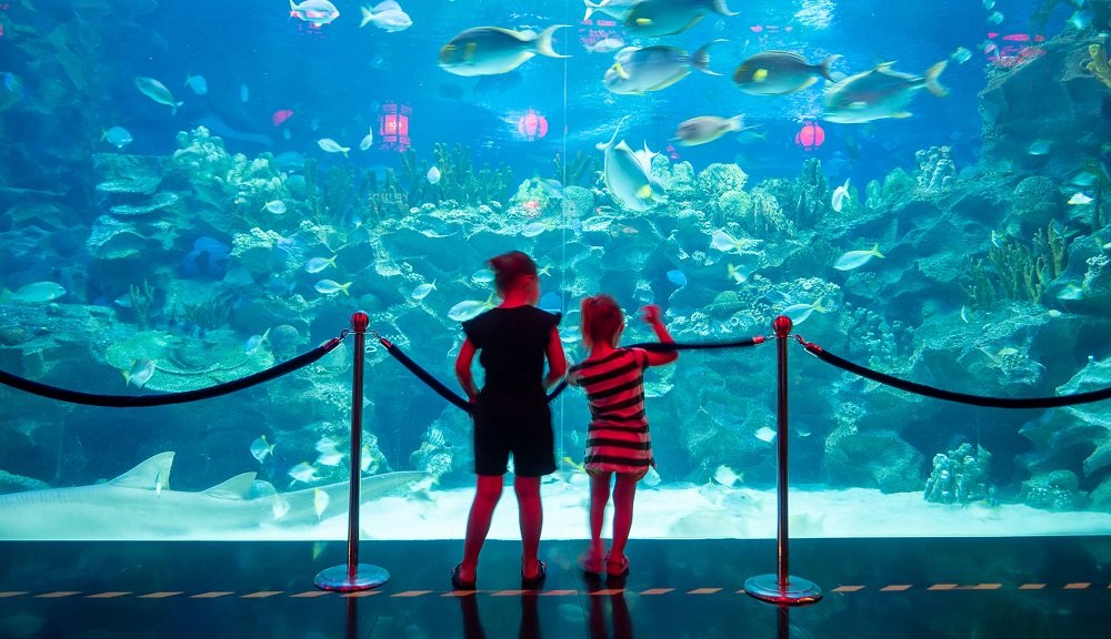Key Features of Aquaria KLCC